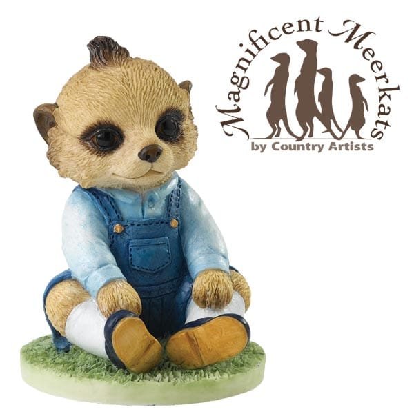 Adorable ‘George’ and doctor ‘On Call’ — the Magnificent Meerkats ‘cure all’ Adorable ‘George’ and doctor ‘On Call’ — the Magnificent Meerkats ‘cure all’
