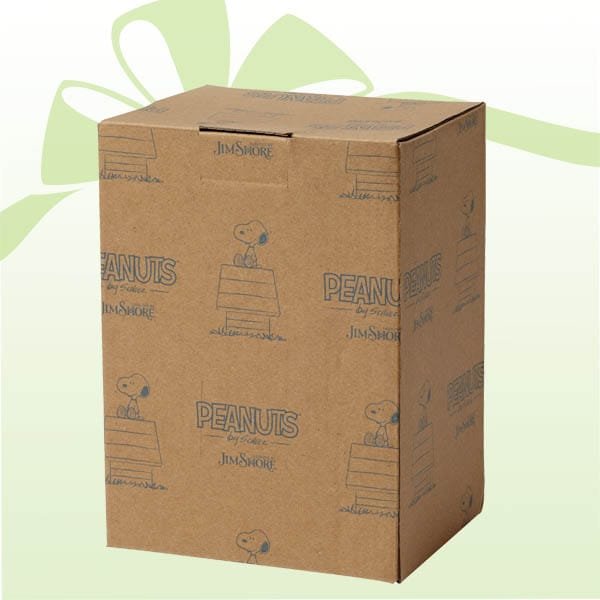 Peanuts by Jim Shore Gift Packaging Peanuts by Jim Shore Gift Packaging