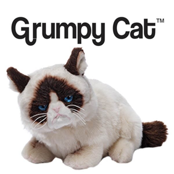 Grumpy Cat Thursday GIF