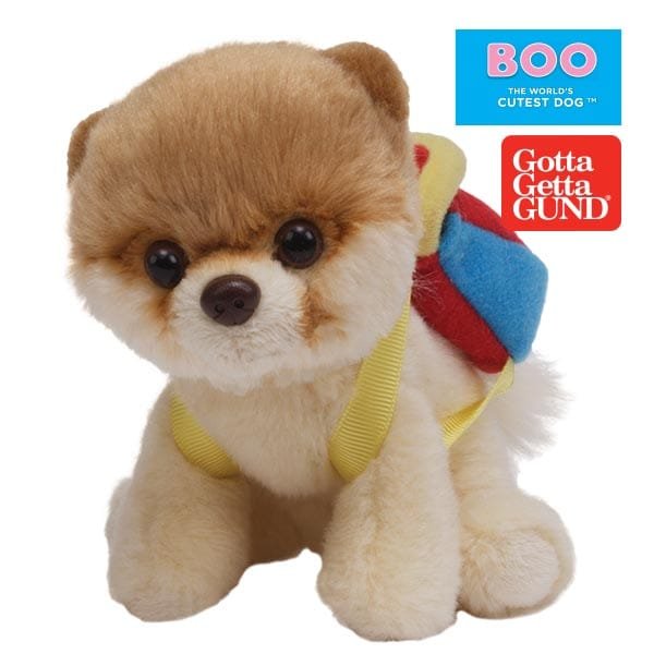 Introducing Boo, The World's Cutest Dog : Enesco – licensed giftware  wholesale